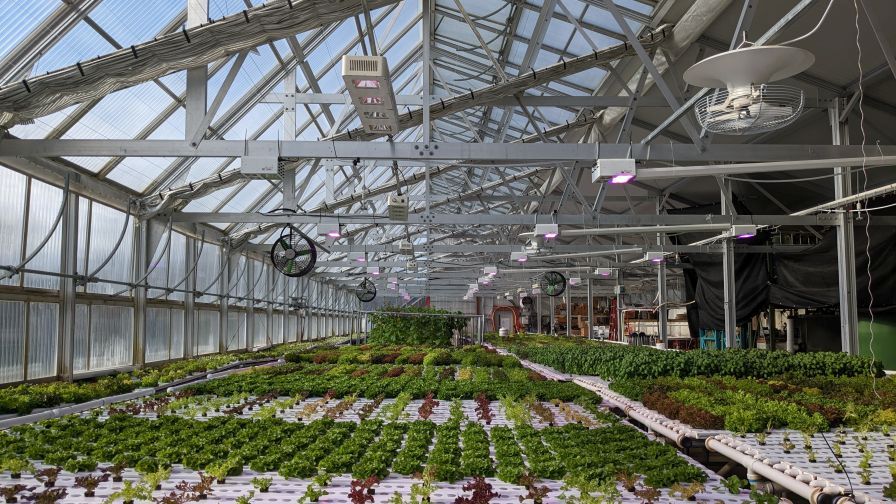 Smart greenhouse